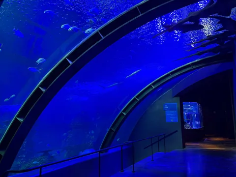 Túnel del Gran Acuario Mazatlán